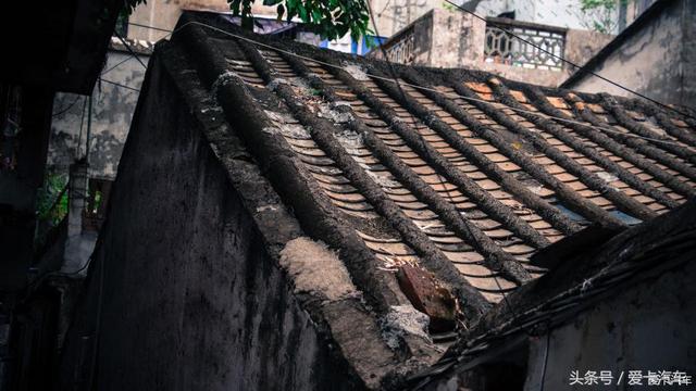第一新車 第一新車