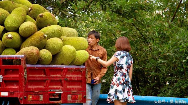 第一新車 第一新車