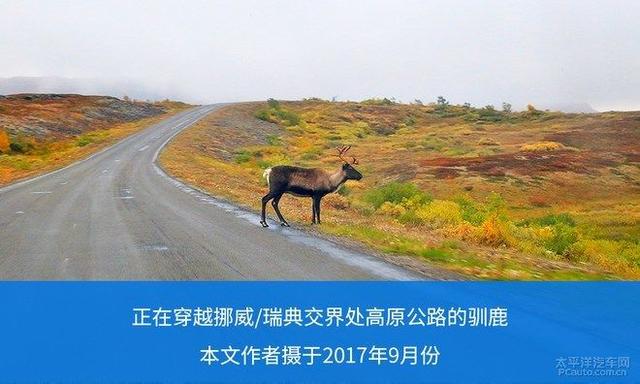 第一新車 第一新車