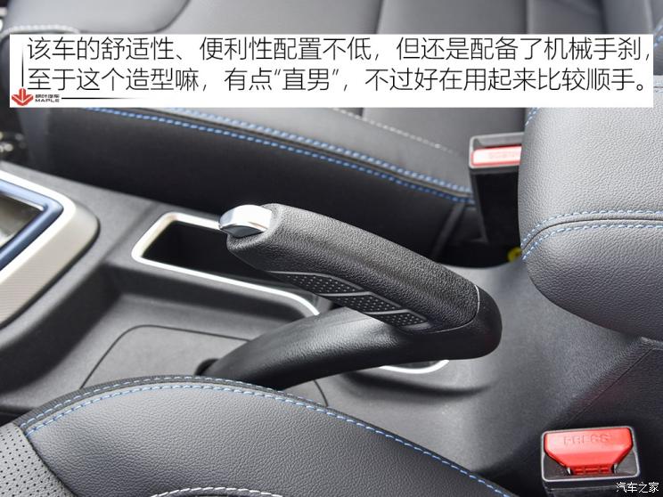 楓葉汽車 楓葉30X 2020款 風尚版